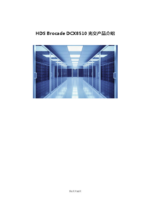 HDS Brocade DCX8510光交产品介绍