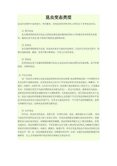 昆虫变态类型
