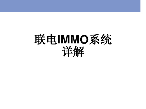联电IMMO系统-说明详解