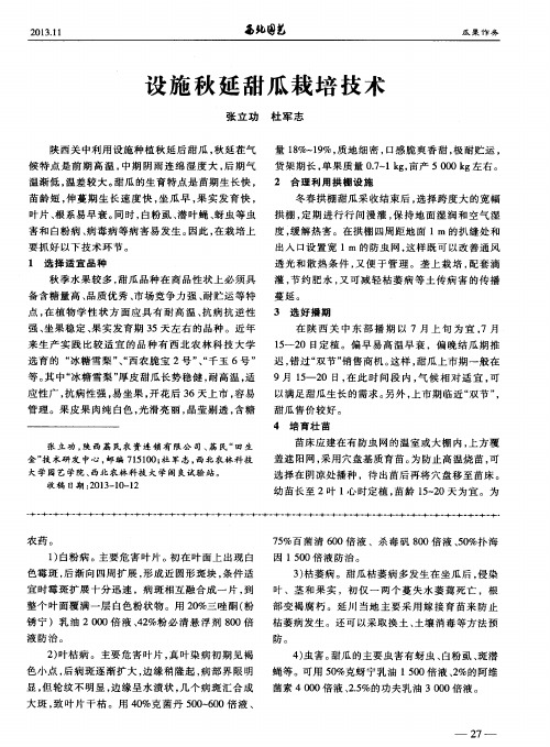 设施秋延甜瓜栽培技术