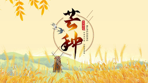 黄色小清新传统二十四节气芒种PPT模板