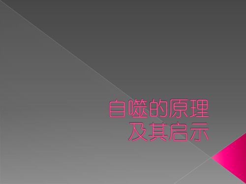 自噬作用原理及其启示