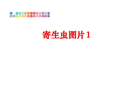 最新寄生虫图片1