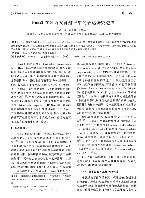 Runx2在牙齿发育过程中的表达研究进展