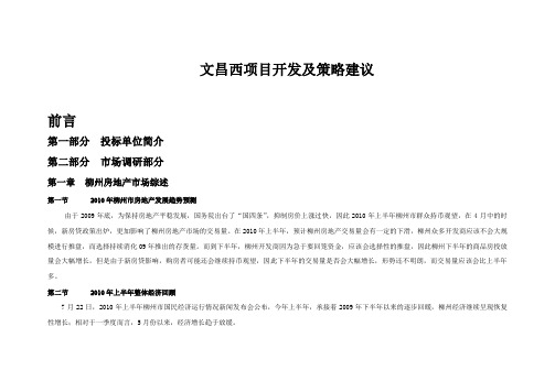 文昌西项目开发及策略建议