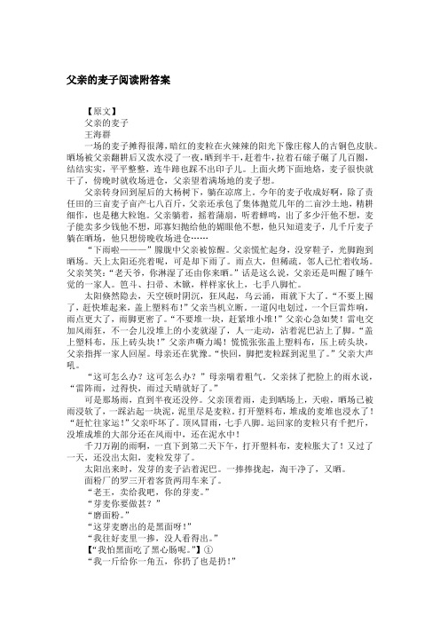 父亲的麦子阅读附答案