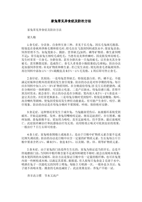 家兔常见异食症及防治方法