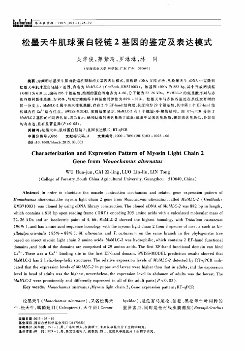 松墨天牛肌球蛋白轻链2基因的鉴定及表达模式