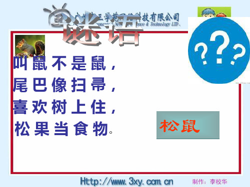 《跑进家来的松鼠》PPT课件