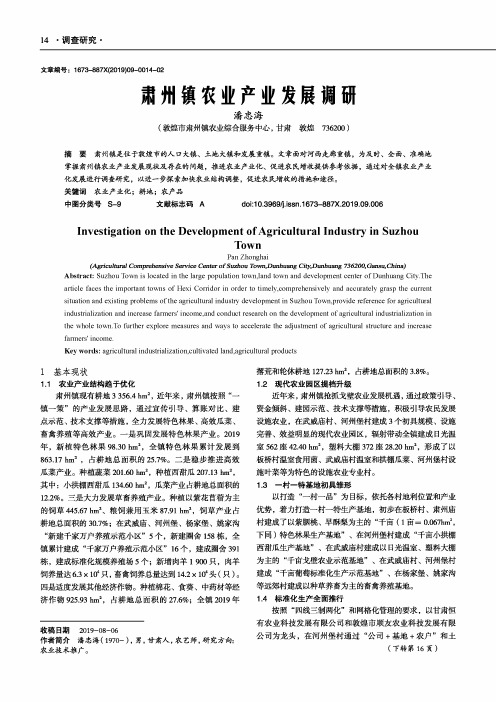 肃州镇农业产业发展调研