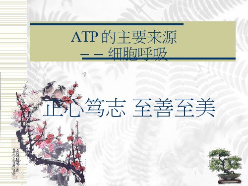 高中生物《ATP的主要来源——细胞呼吸(2)》优质教学课件