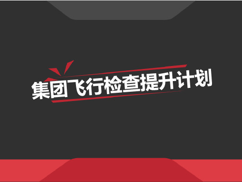 房地产 集团飞行检查提升计划 PPT