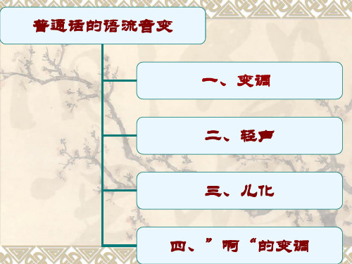 语流音变5