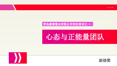 心态与正能量团队概述(共43张PPT)
