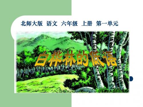 北师大版六年级语文上册《白桦林的低语》优秀PPT课件PPT、优质教学课件