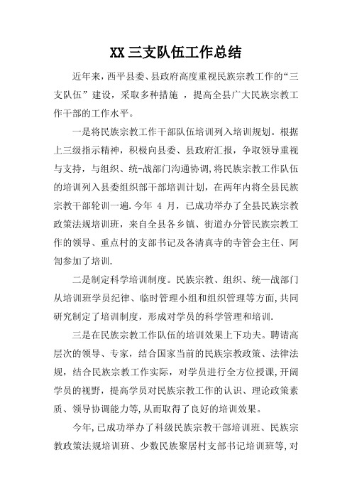 XX三支队伍工作总结