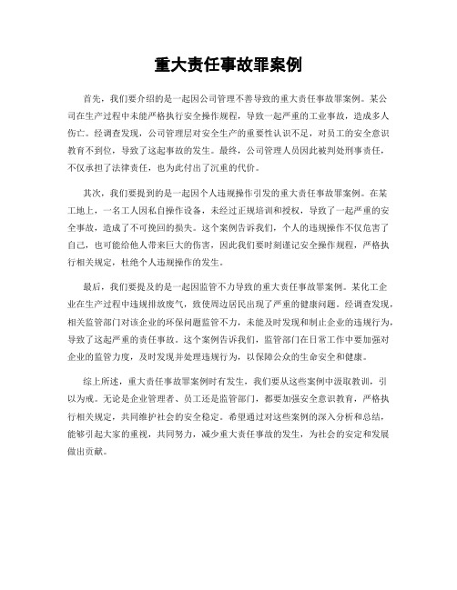 重大责任事故罪案例