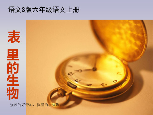 22《表里的生物》PPT课件