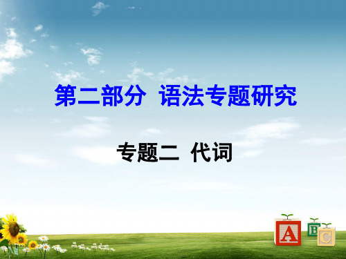 中考英语第二部分语法专题研究专题2代词课件PPT课件