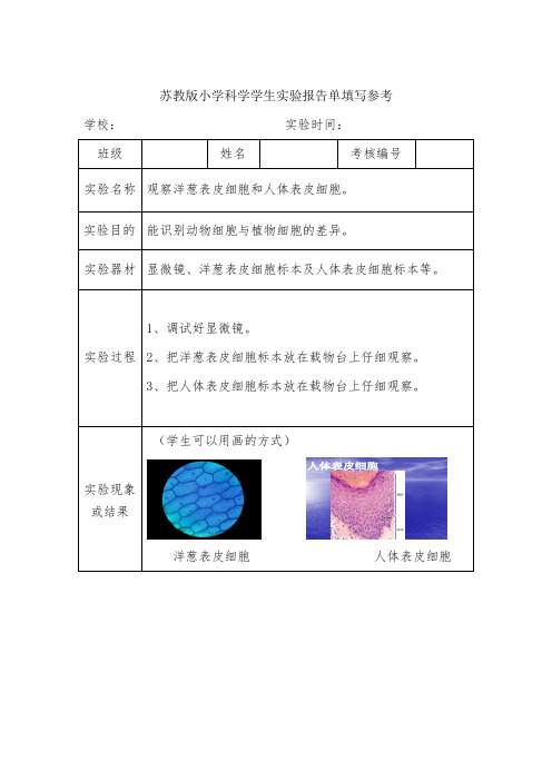苏教版六年级(上)学生实验报告单