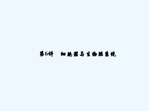 2019届高考生物一轮复习 第二单元 细胞的基本结构和物质运输功能 第6讲 细胞器与生物膜系统讲义 新人教版