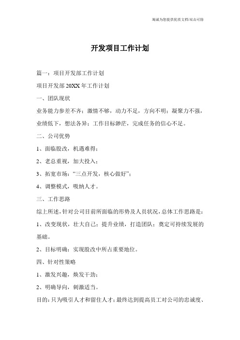 开发项目工作计划