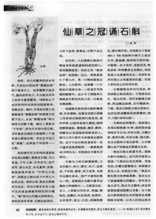 仙草之冠诵石斛
