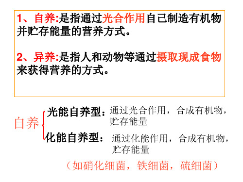 代谢的多样性1(PPT)5-3