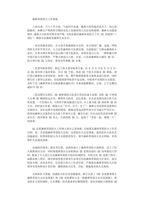 2021森林草原防火工作简报(例文)