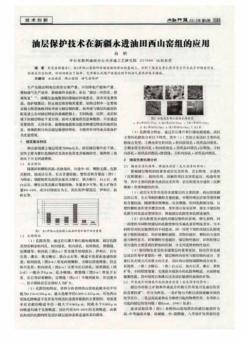 油层保护技术在新疆永进油田西山窑组的应用