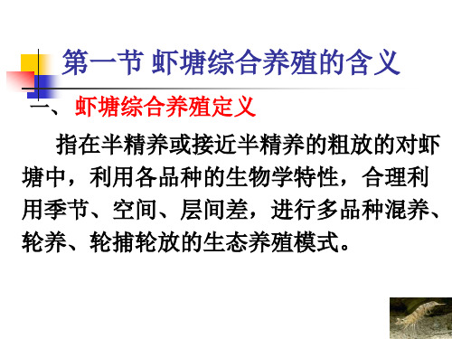 虾塘综合养殖