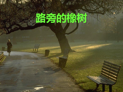 8《路旁的橡树》课件