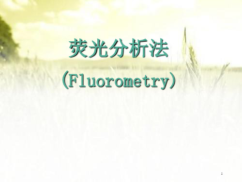 荧光分析法 PPT