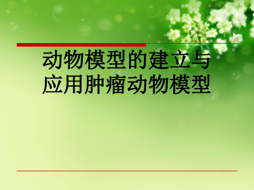 动物模型的建立与应用肿瘤动物模型