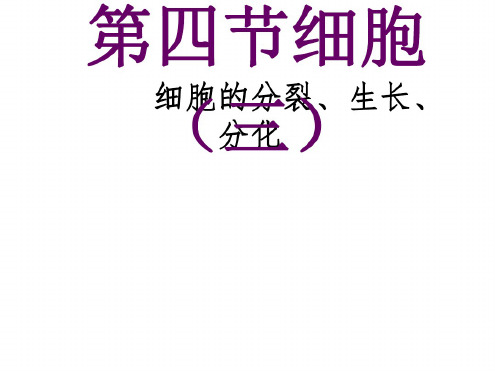 第四节细胞--浙教版