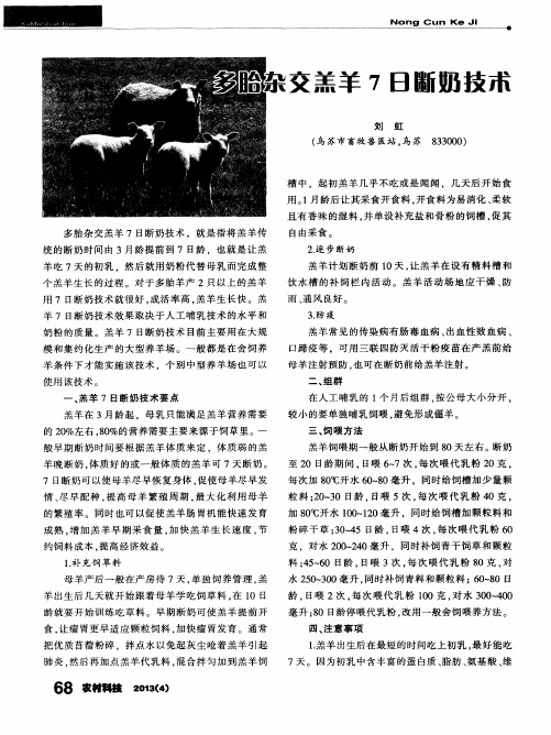 多胎杂交羔羊7日断奶技术