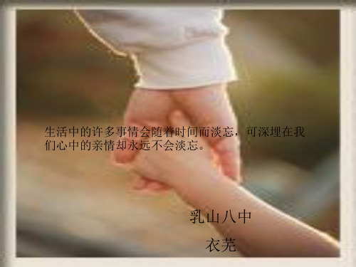 我不是个好儿子ppt7 鲁教版