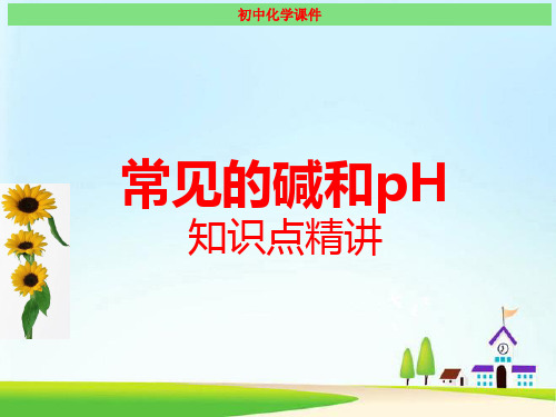 常见的碱和pH 知识点精讲课件(最新)