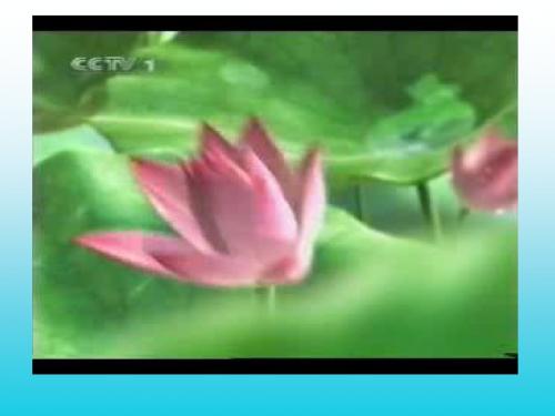 常见天气系统气旋反气旋