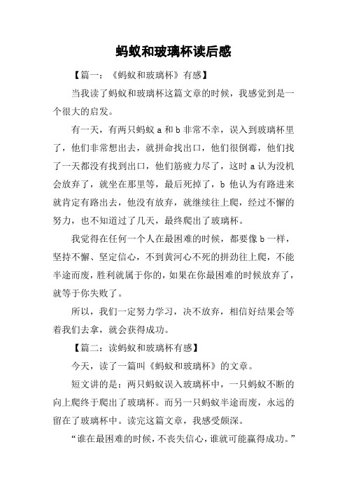 蚂蚁和玻璃杯读后感