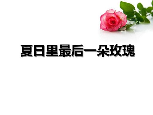 《夏日里最后一朵玫瑰》PPT课件
