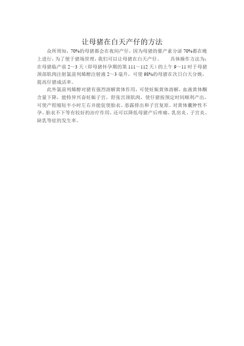 让母猪在白天产仔的方法