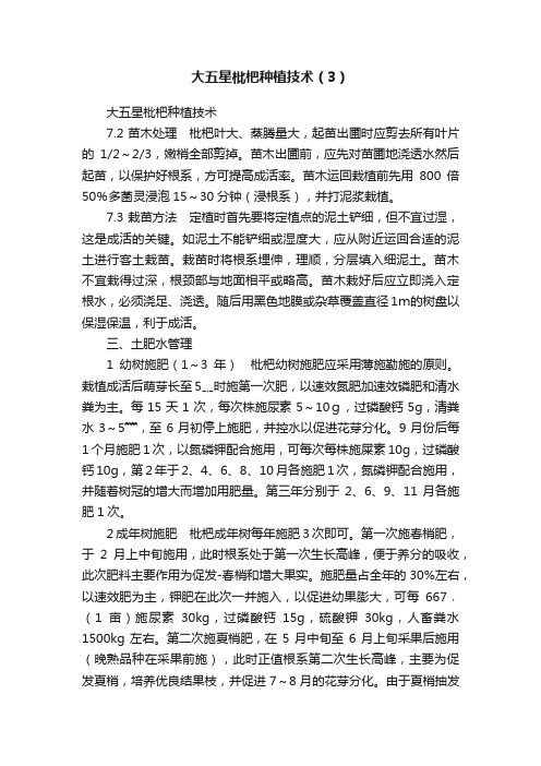 大五星枇杷种植技术（3）