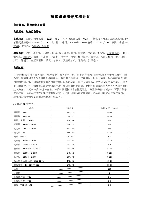 植物组织培养实验计划