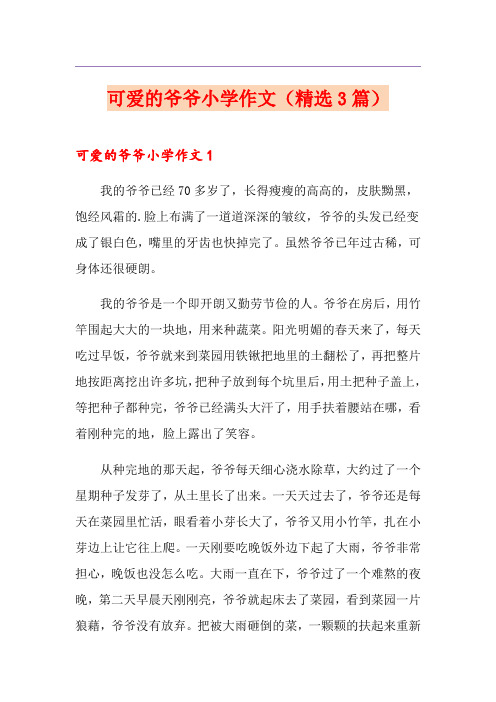 可爱的爷爷小学作文(精选3篇)