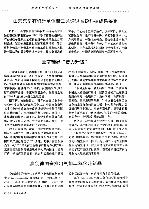 山东东岳有机硅单体新工艺通过省级科技成果鉴定