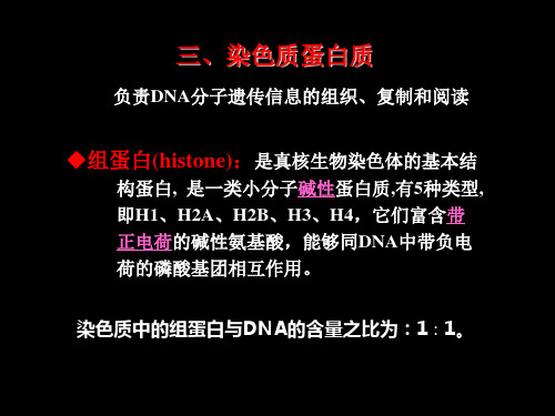 细胞生物学第10章2细胞核与染色体