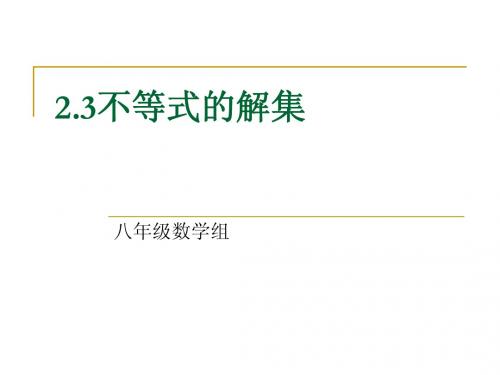 新北师大版八数下第二章不等式的解集