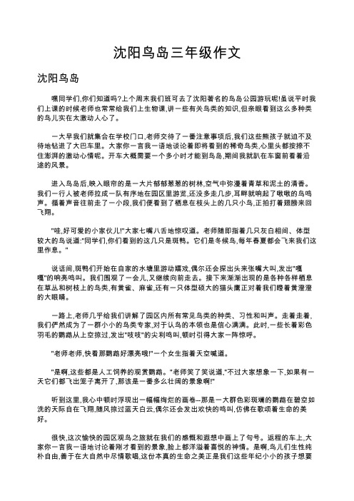 沈阳鸟岛三年级作文