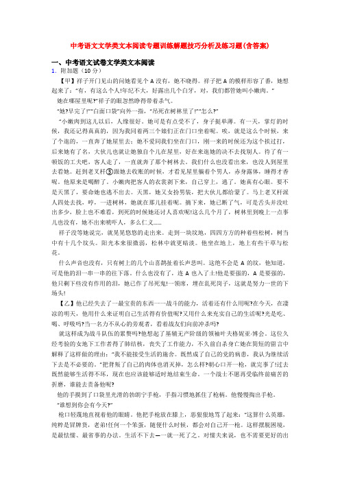 中考语文文学类文本阅读专题训练解题技巧分析及练习题(含答案)